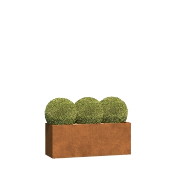 Pflanzkübel Ancona Medium mit Rollen