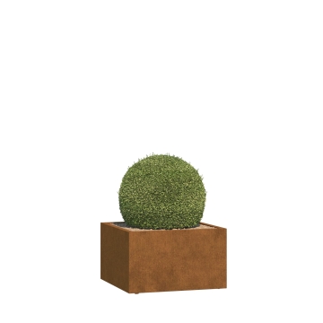 Pflanzkübel Mantua Medium mit Rollen