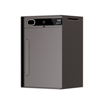 Smart Paketbriefkasten Baby Custo - Grau - Braun