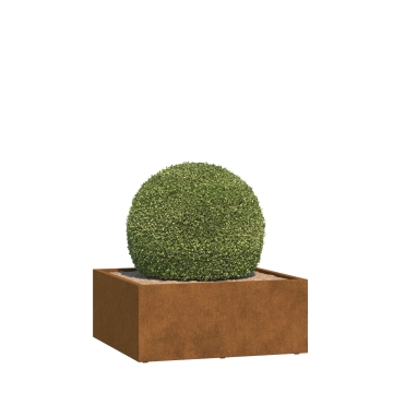 Pflanzkübel Verona Medium