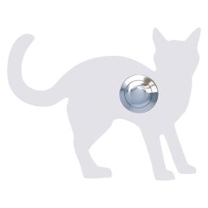 Türklingel Katze ''Leo''